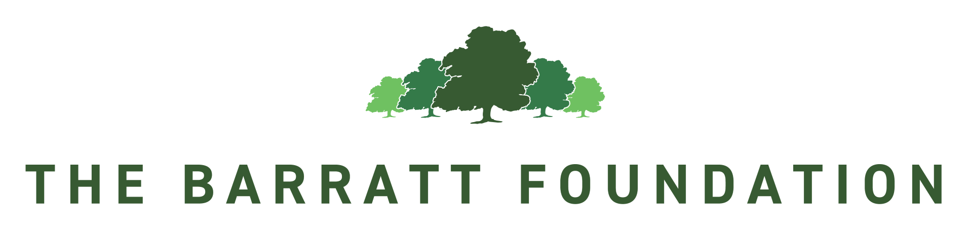 61314-009-Barratt-Developments-Foundation-logo-FINAL-28-Oct